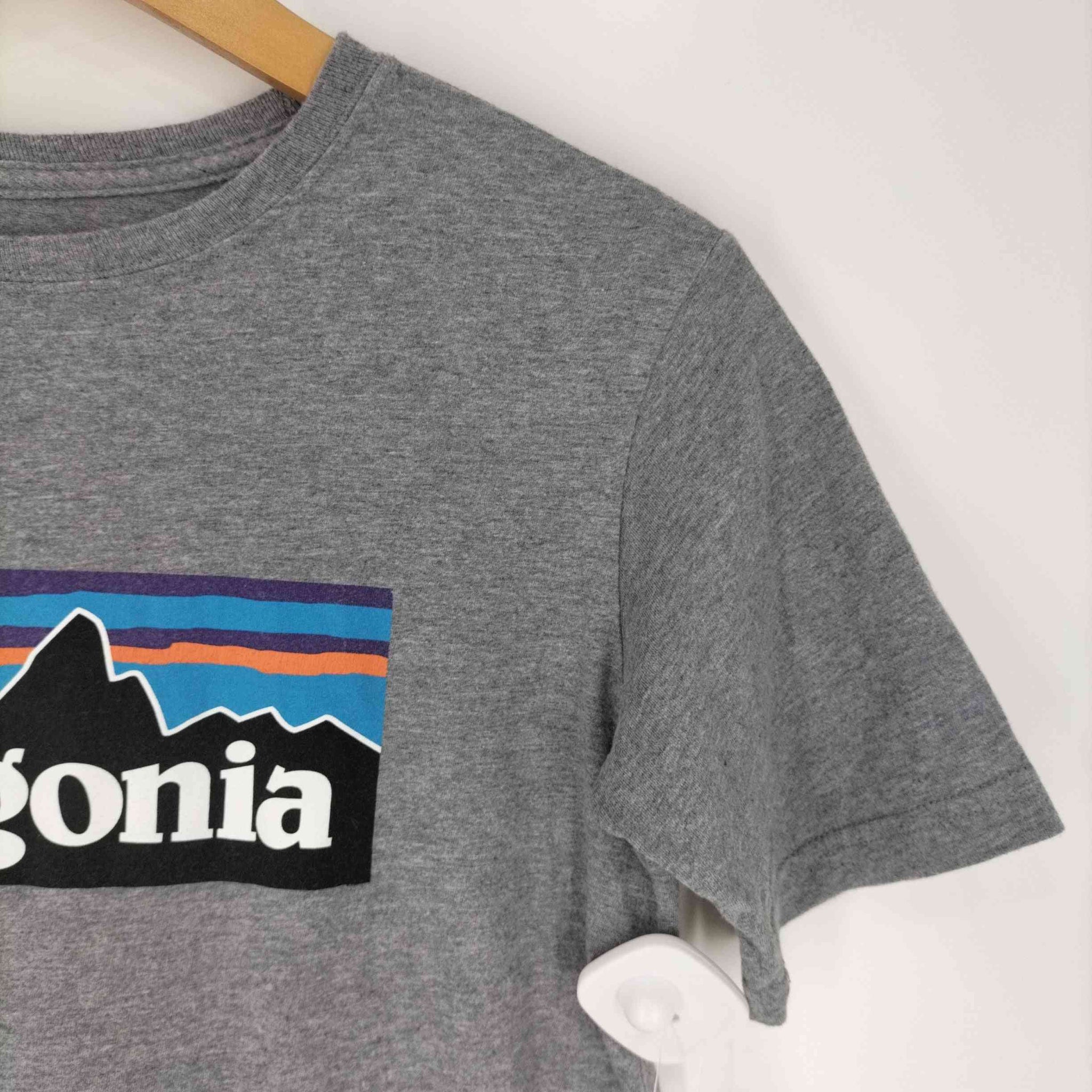 patagonia(パタゴニア)キッズ・リジェネラティブ・オーガニック・サーティファイド・コットン・P-6ロゴ・Tシャツ