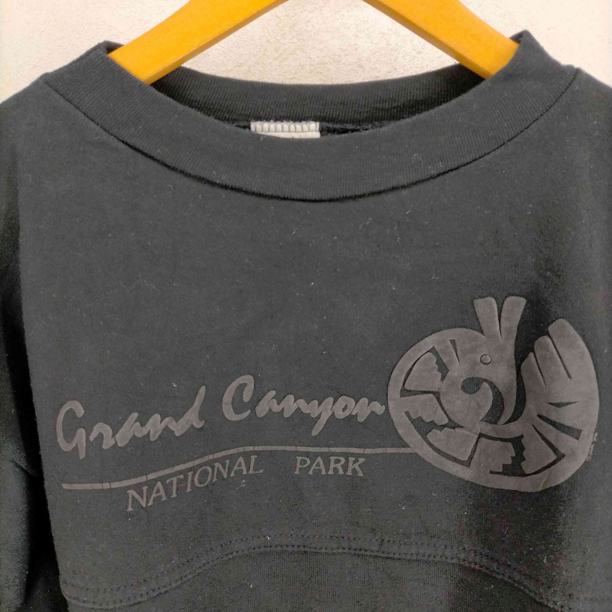 USED古着(ユーズドフルギ)ALERE 発泡プリントスウェット MADE IN USA GRAND CANYON NATIONAL PARK