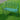 Ｆｅｕｉｌｌｅ（フイユ）アイアン製ガーデンベンチ　アイアン製　ベンチ　チェア　北欧風　ボタニカルデザイン　コンパクト収納　ビリジアングリーン　テラス　ベランダ　バルコニー　カフェ風　インテリア　家具　家庭用　屋外用　ガーデンファニチャー　アウトドア