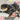 ハーネス 犬 首の負担が少ない 小型犬 中型犬 子犬 【はっぴーDOG】 パピア PUPPIA 可愛い ファッション ハーネス犬用 犬のハーネス 柔らかい ベストハーネス パピー 超小型犬 極小 簡単装着 抜けない 脱げない 胴輪 シニア犬