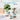 円柱 丸型 Lサイズ 虹色 植木鉢 多肉鉢 飾り 陶器製 ミニ植物 多肉植物 観葉植物 サボテン フラワーポット ガーデニング おしゃれ 北欧風 事務室 ベランダ 装飾 母の日 プレゼント ギフト