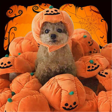 ハロウィンペット犬猫コスプレかぼちゃかわいい帽子メール便送料無料