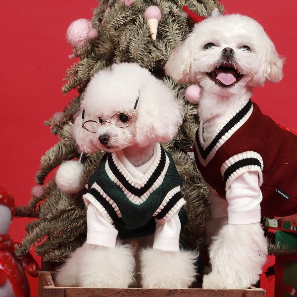 ペット服 ドッグウェア 犬服 秋 冬 シンプル 暖かい プチプラ 犬用セーター おしゃれセーター スクールセーターセーター あったか 暖か 服 超小型犬